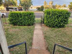 18 Deverell St