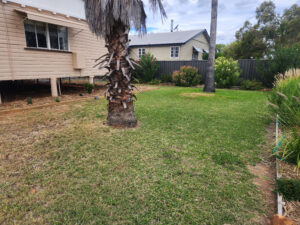 3 Deverell St
