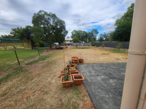 3 Deverell St