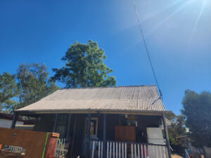 11 Ridgeway St