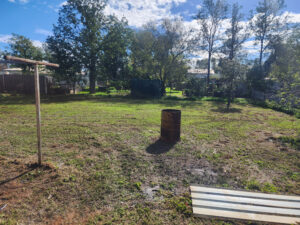 65 Roma St